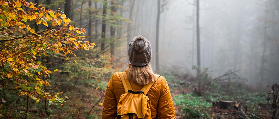Woman In Woods In Fall